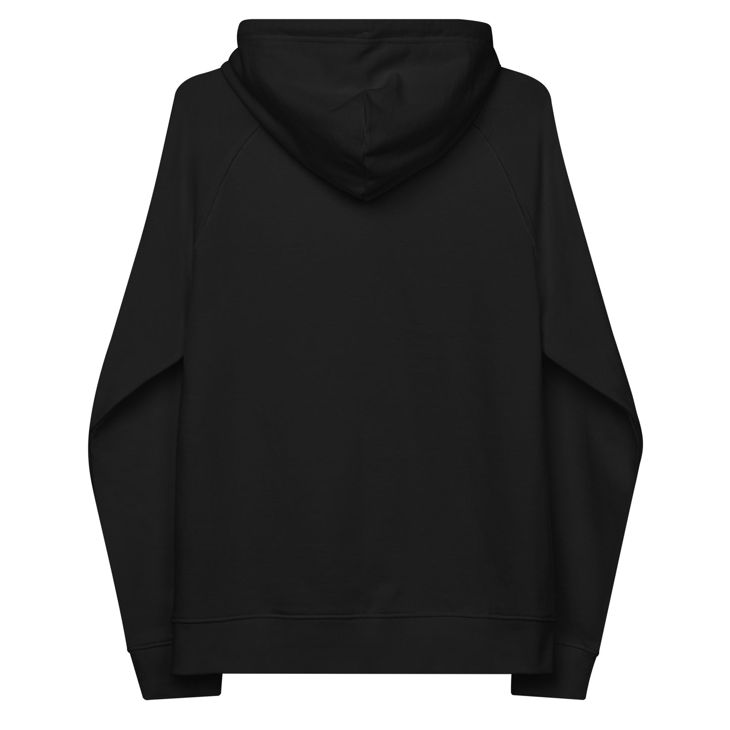 HOLO Hoodie