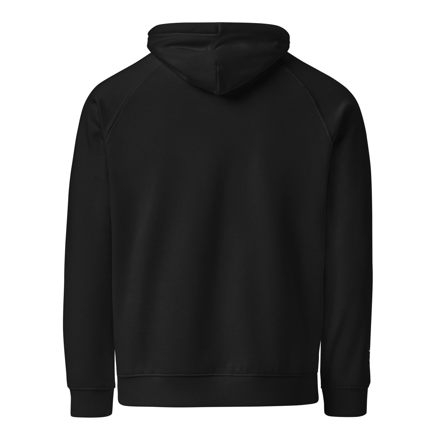 HOLO Hoodie