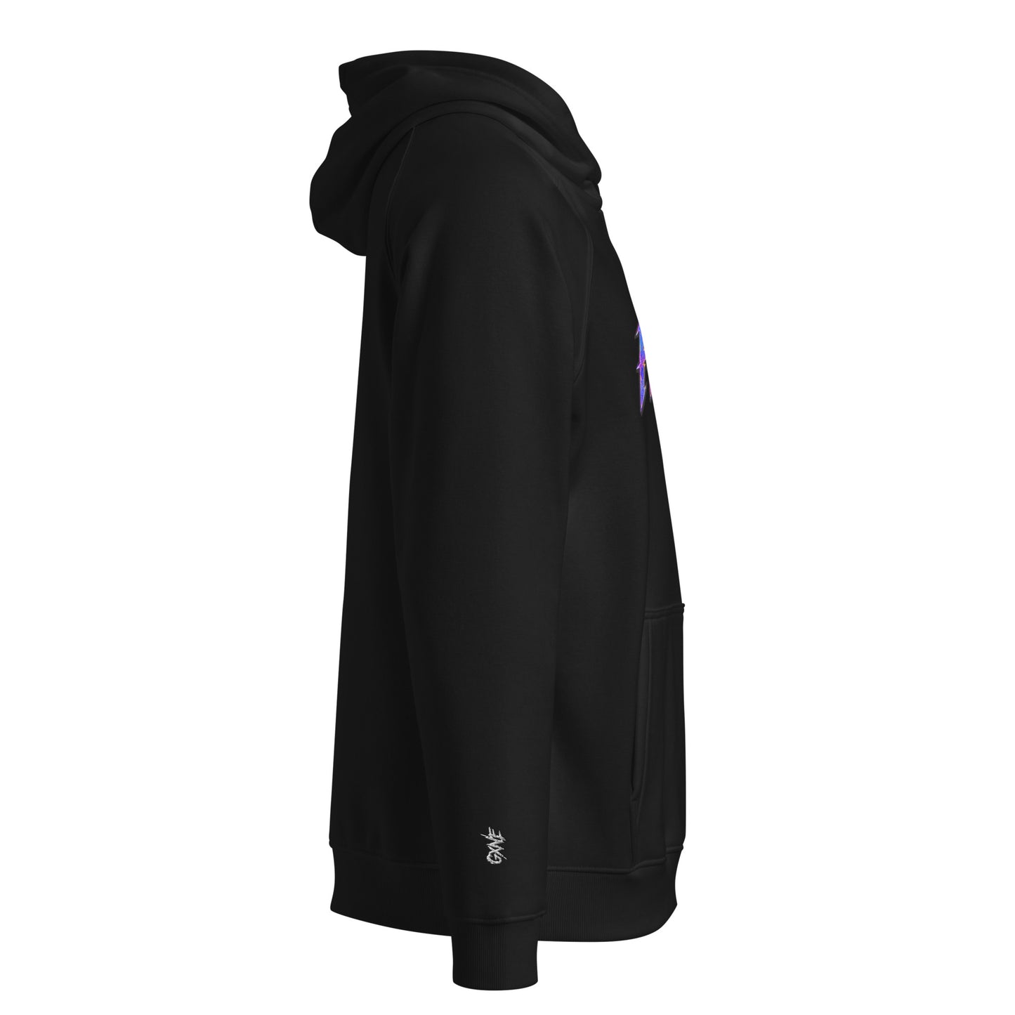 HOLO Hoodie