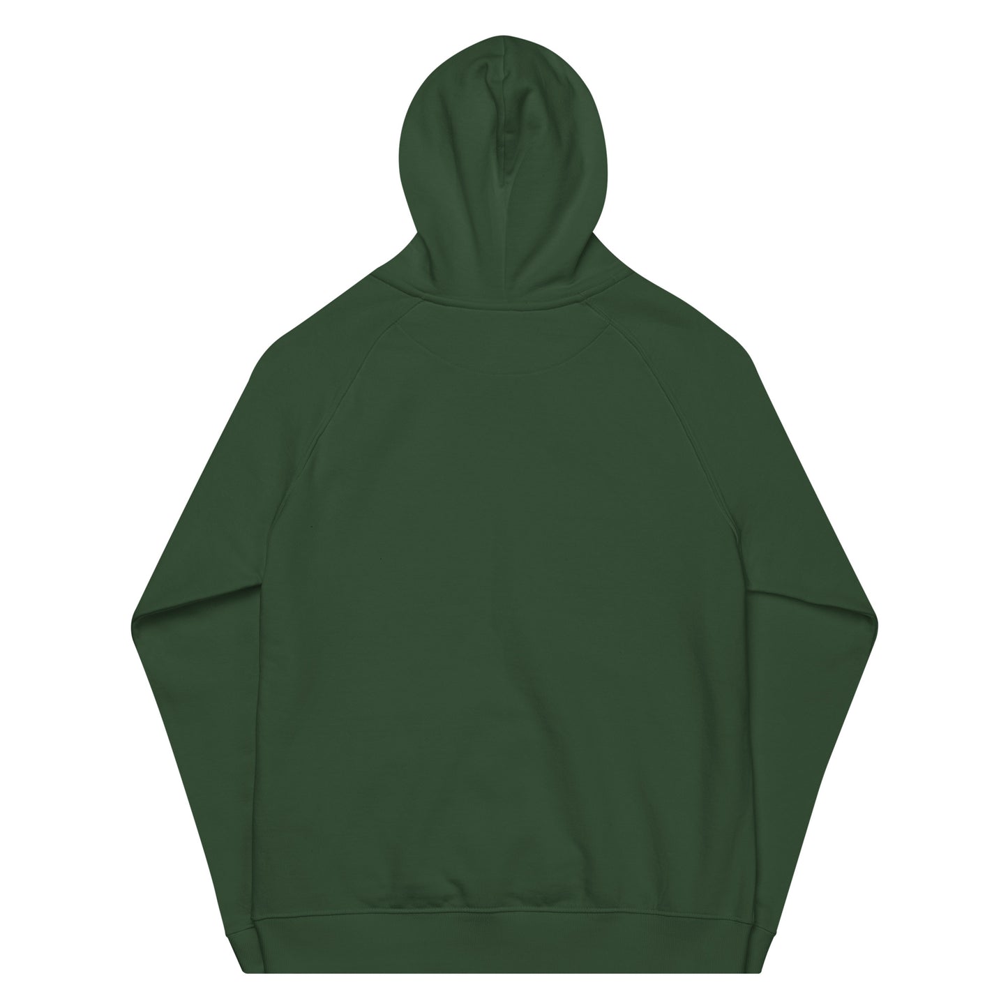 HOLO Hoodie