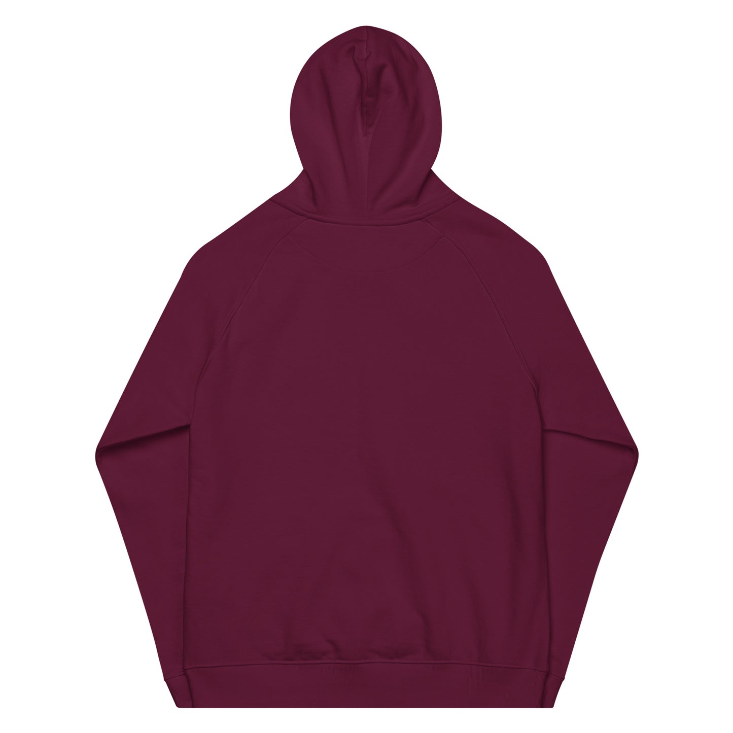 HOLO Hoodie