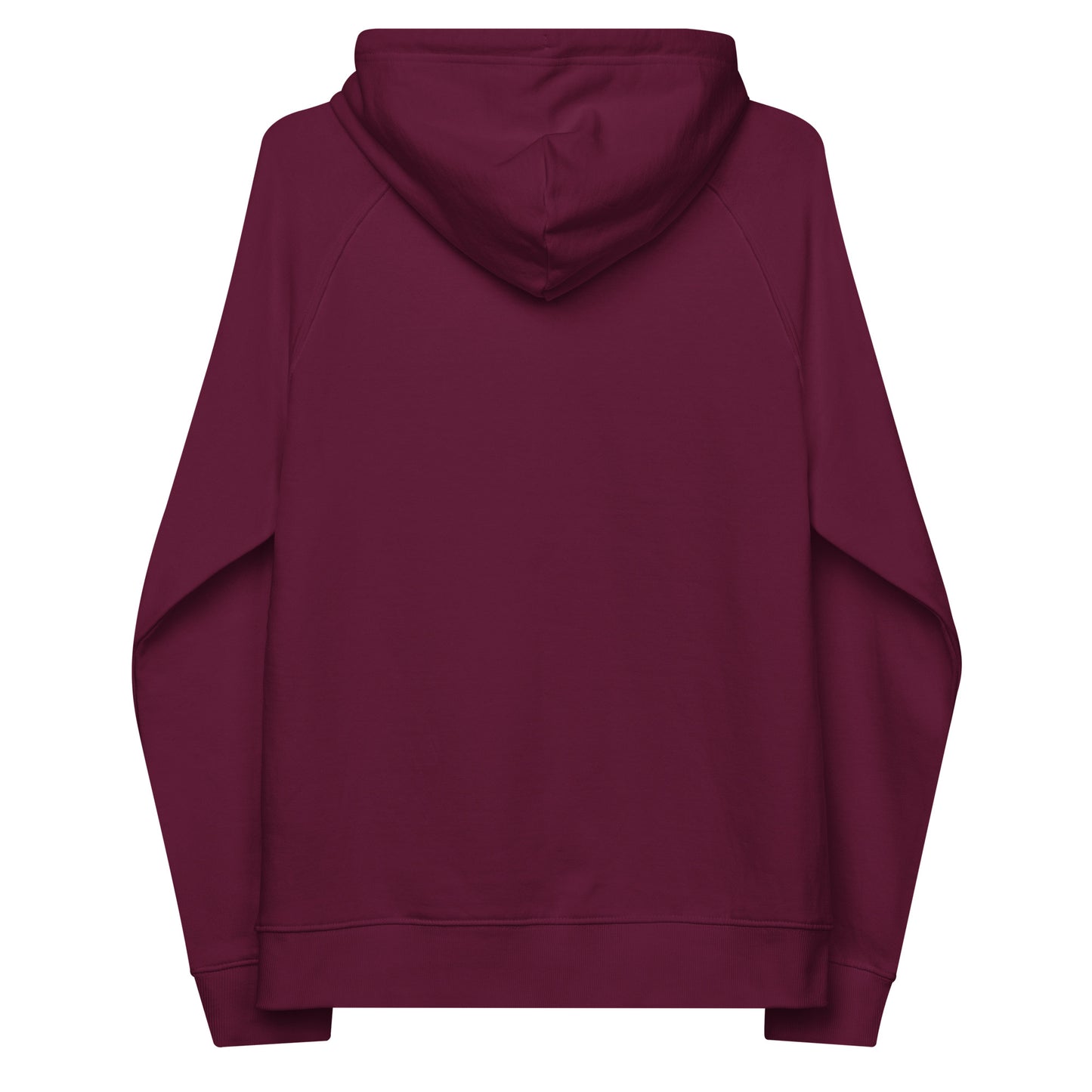HOLO Hoodie