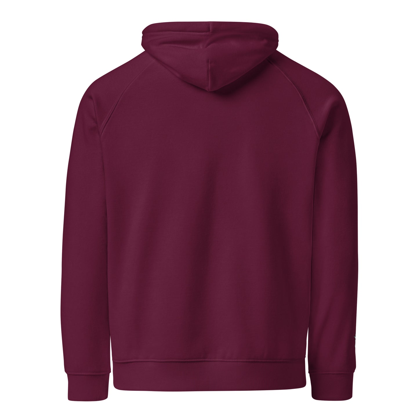 HOLO Hoodie