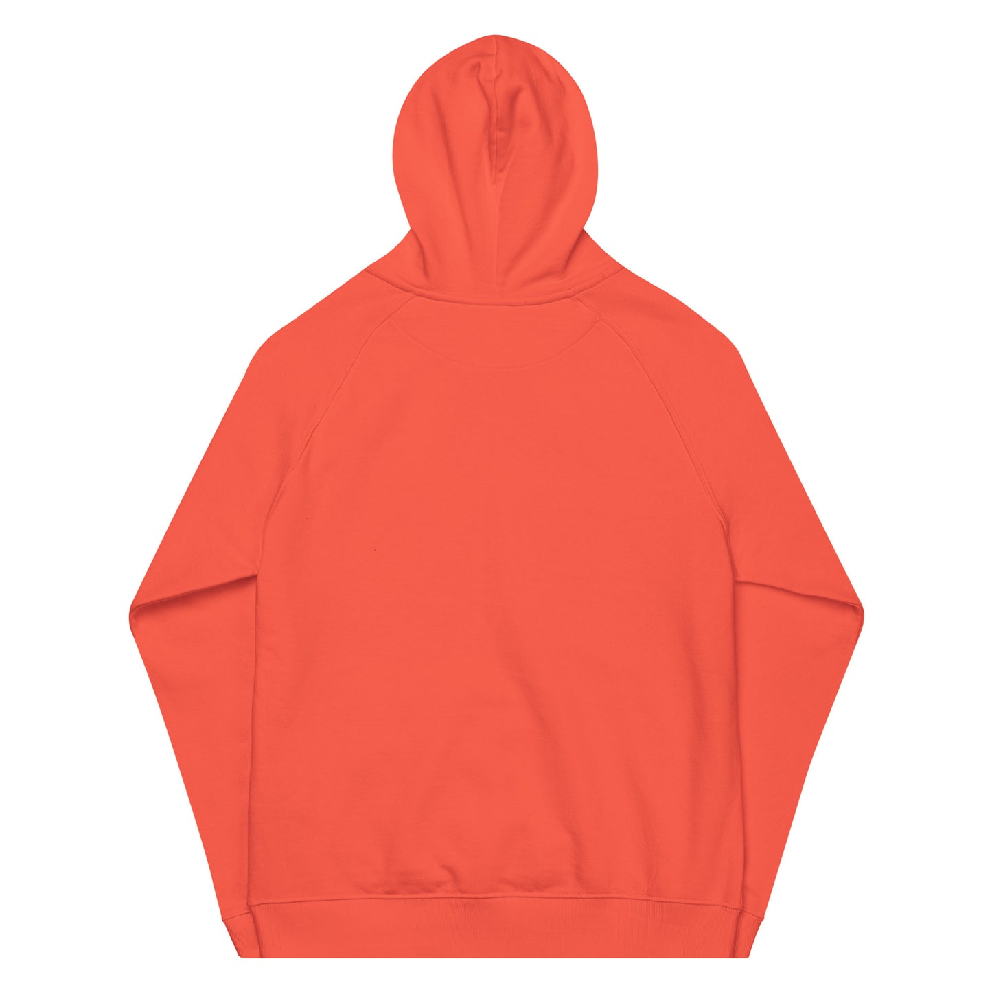 HOLO Hoodie