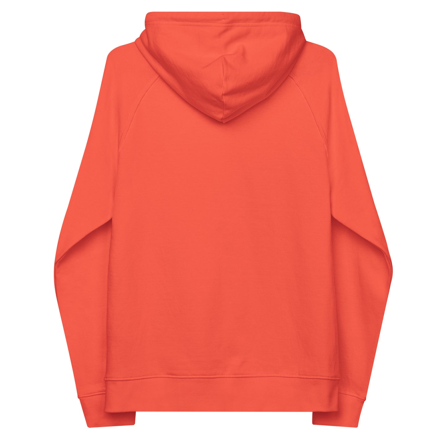 HOLO Hoodie