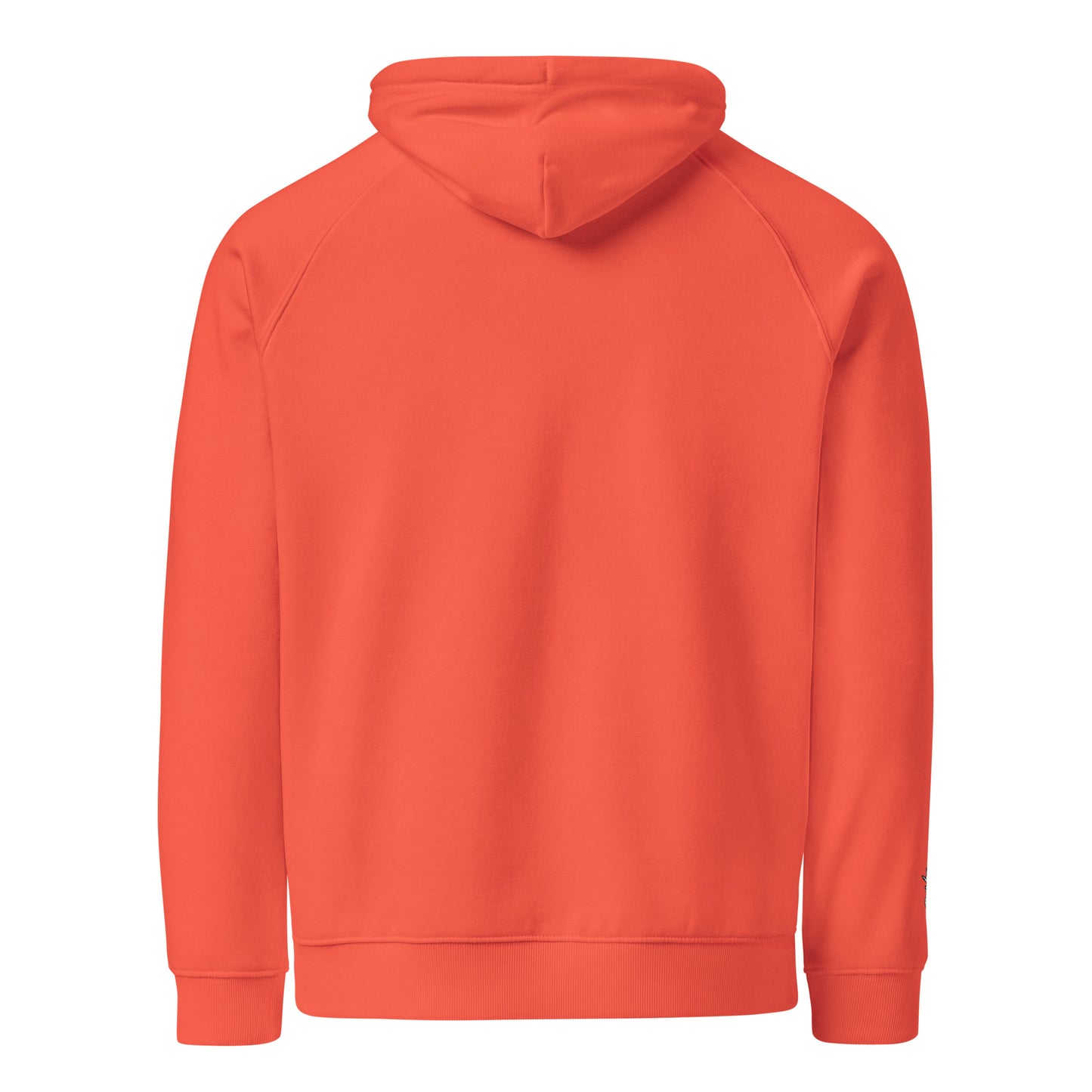 HOLO Hoodie